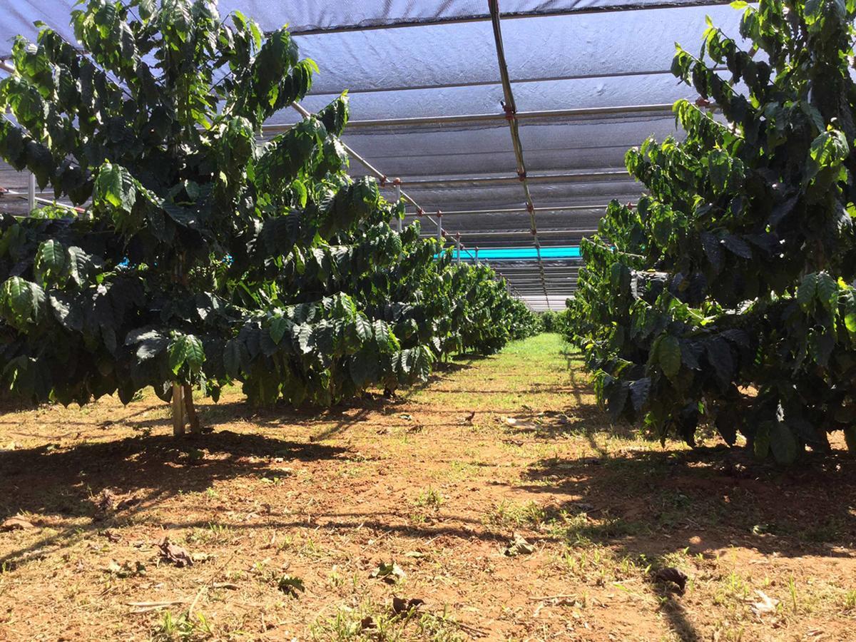 Matayoshi Coffee Farm Villa Higashi Buitenkant foto