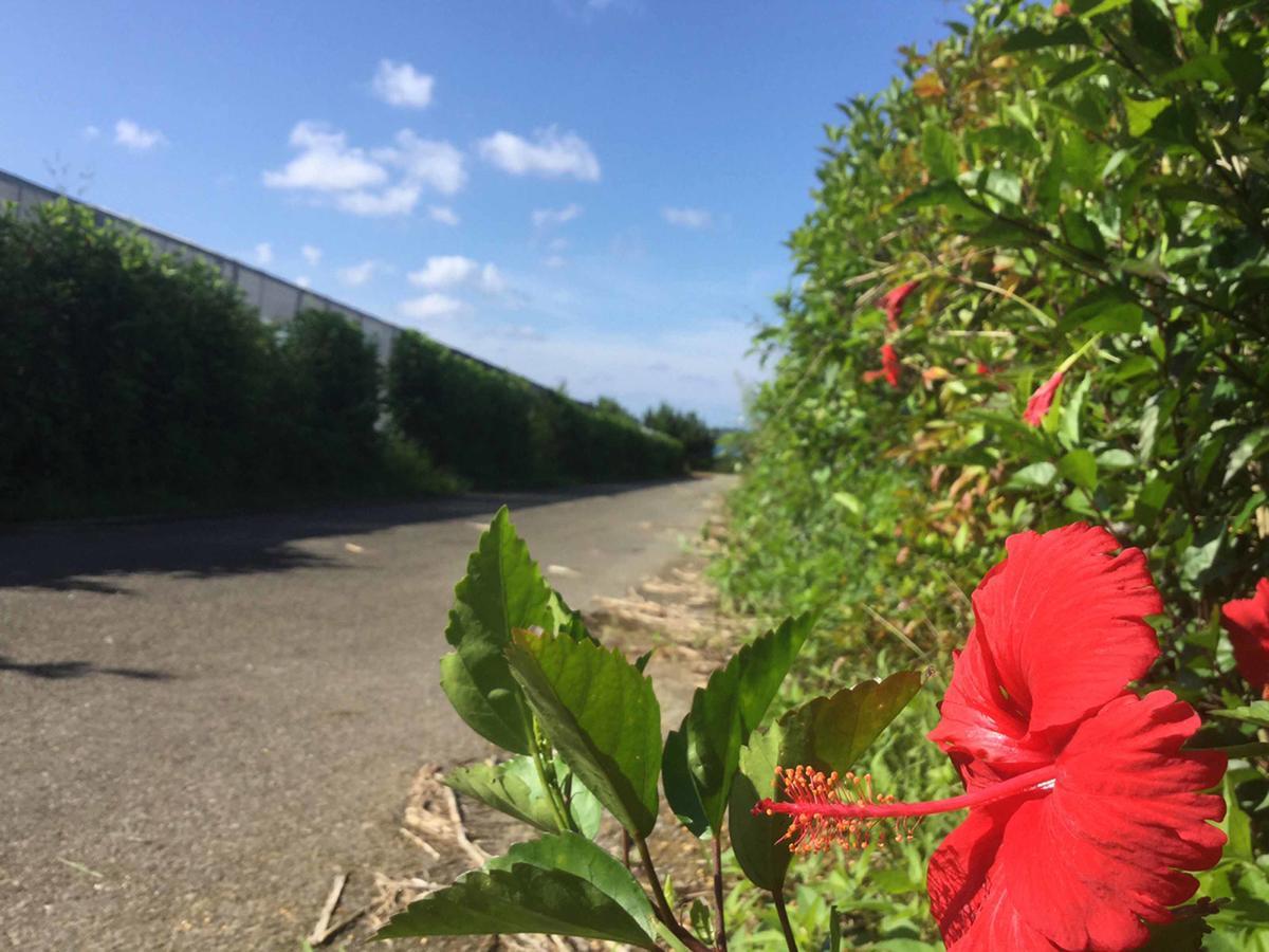 Matayoshi Coffee Farm Villa Higashi Buitenkant foto